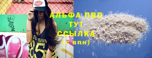 стафф Арсеньев
