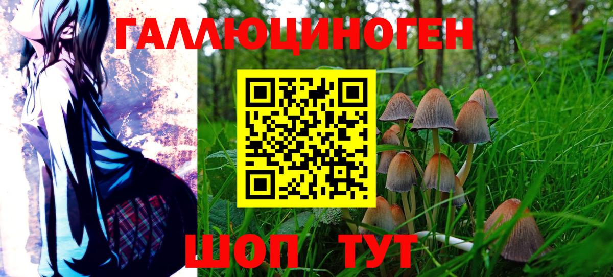 Елабуга  Псилоцибиновые грибы мицелий  Вход с VPN 